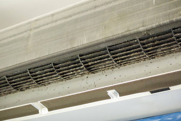 Best Air Duct Cleaning Near Me  in Rochelle, GA